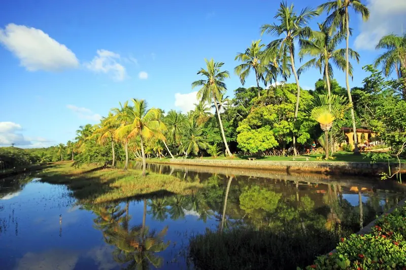 Área externa de Eco Pousada Paraíso dos Coqueirais