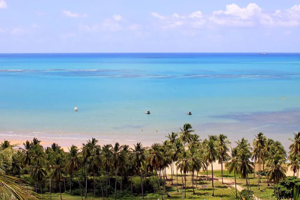 Paisagem de Japaratinga vista a partir de Eco Pousada Paraíso dos Coqueirais